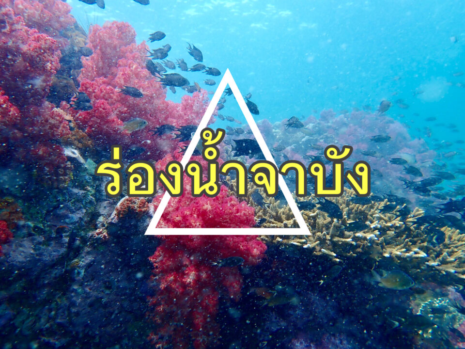 ร่องน้ำจาบัง