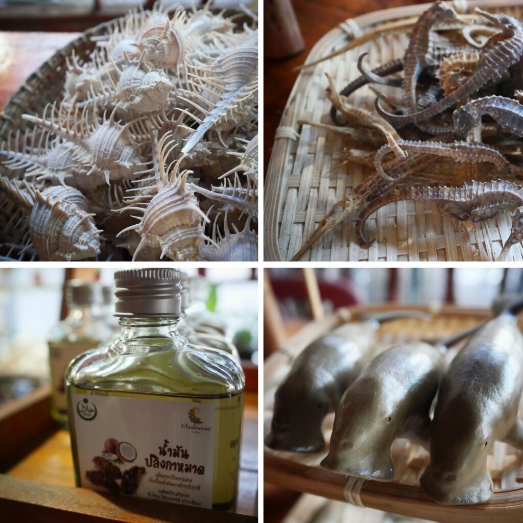 ทริปตกหมึก ลิบง - review