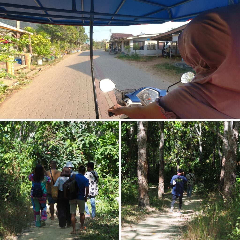 ทริปตกหมึก ลิบง - review