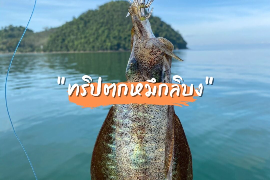 ทริปตกหมึก ลิบง - review