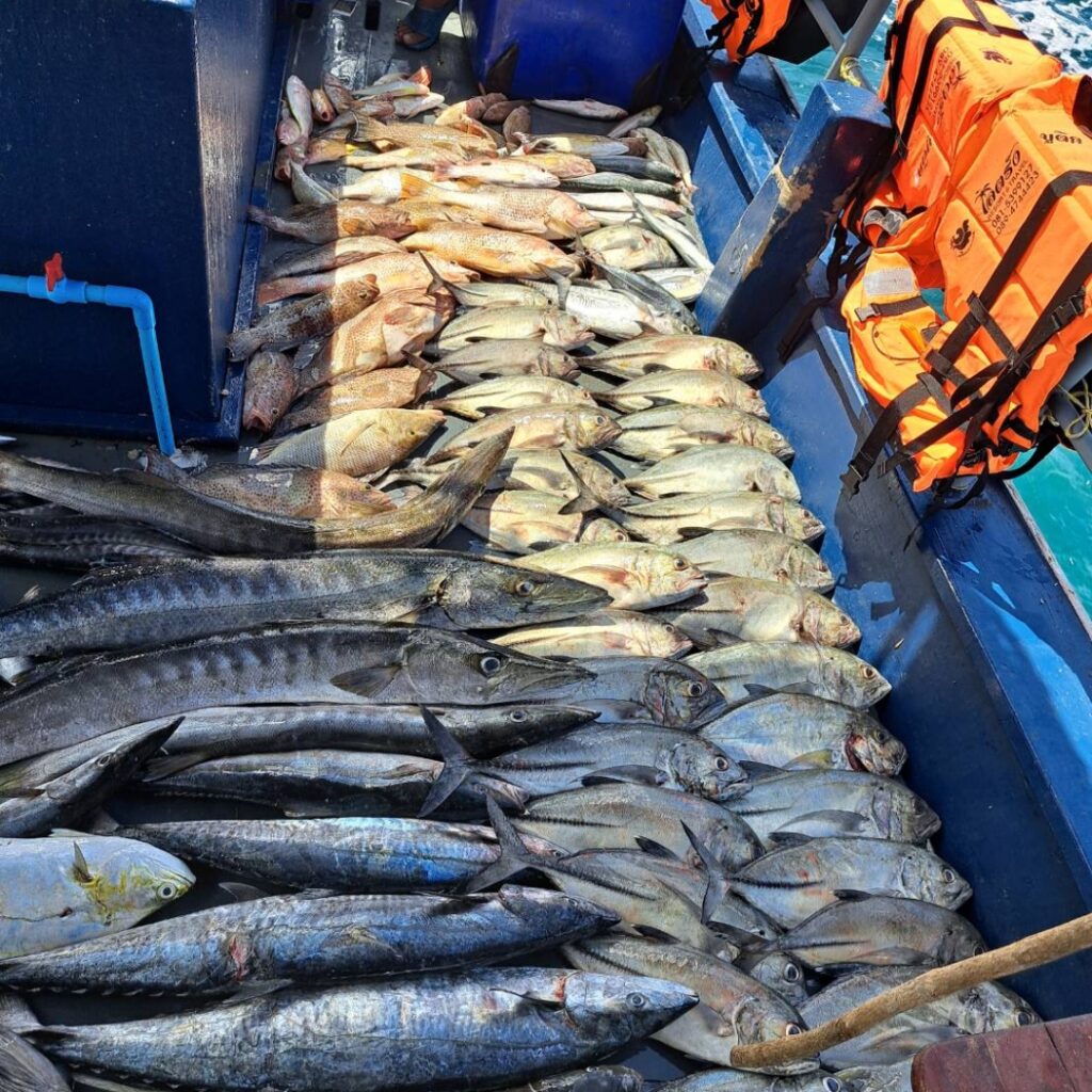 เรือตกปลา